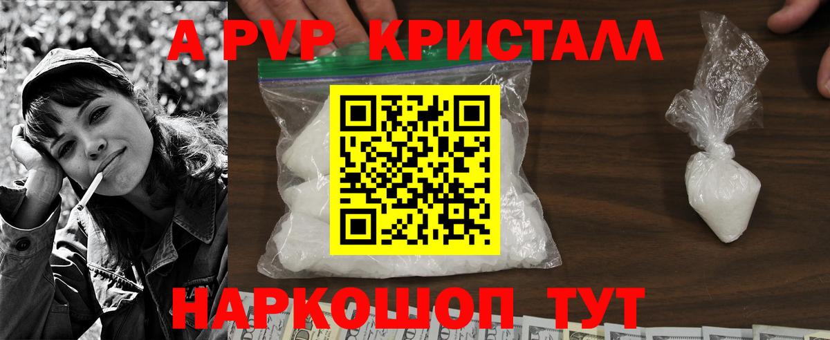 Альфа ПВП СК Гагарин