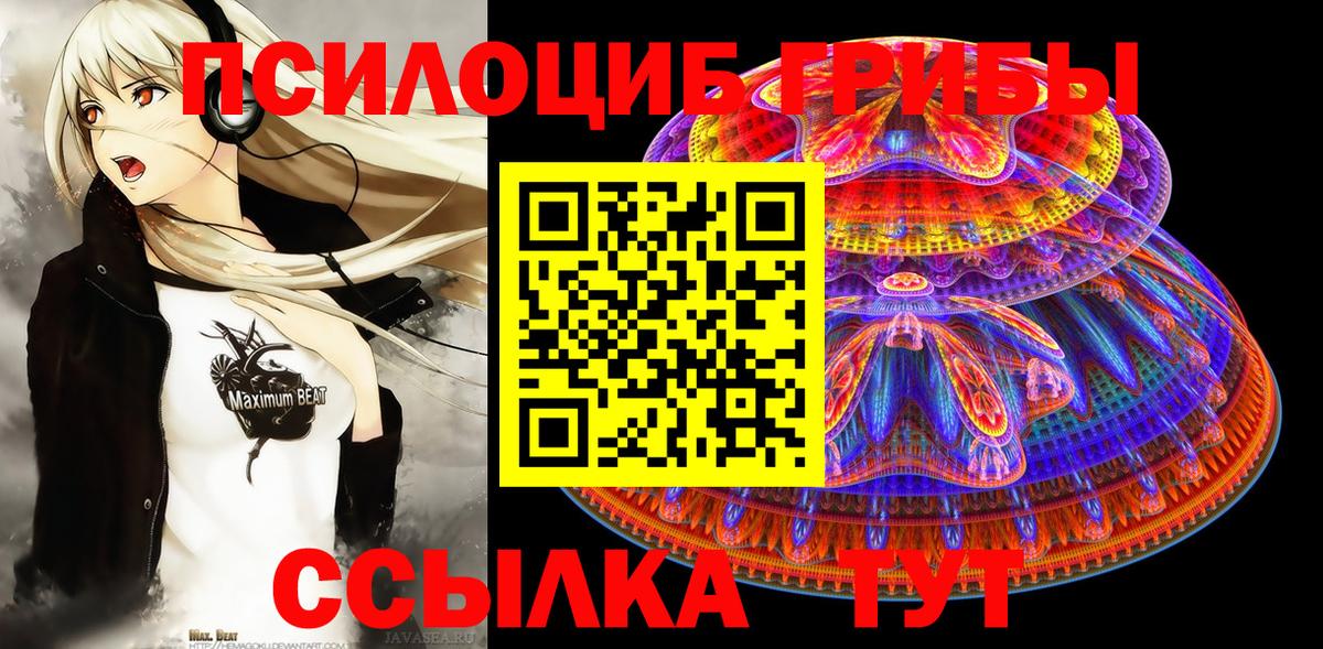 Гагарин  Псилоцибиновые грибы GOLDEN TEACHER  Вход с VPN  Псилоцибиновые грибы мицелий 